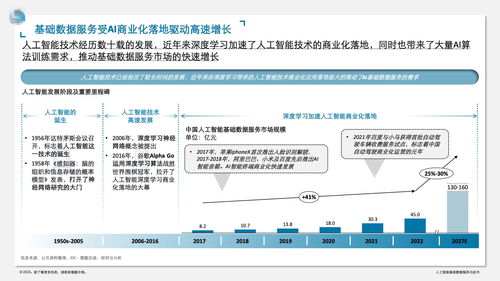 《德勤咨詢 人工智能基礎數(shù)據(jù)服務與軟件開發(fā)白皮書》——構(gòu)筑智能時代的基石